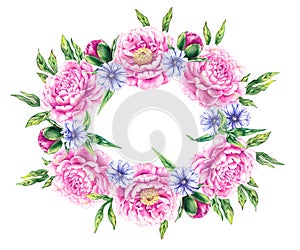 Pink floral wreath with blue flowers of the medicinal plant chicory