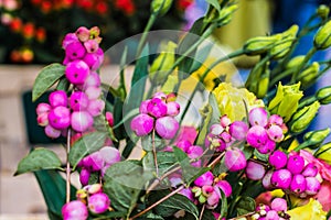 Pink flower balls with green leaves. spring flowers at a market stand.