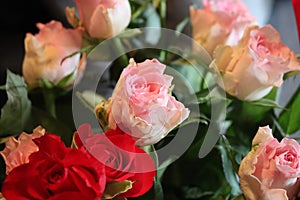 Pink flower beautiful skewer-colored skewers natural leaves photo