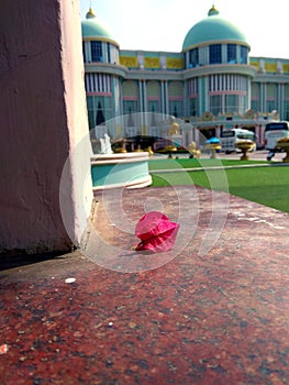 A pink flower fallen on the floor