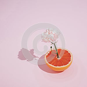 Pink flower growing out of red grapefruit on pastel background. Minimal, trendy summer romance composition