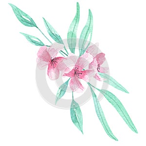 Pink Flower Pattern Seamless Floral Watercolor Aqua Green Leaves Leaf Berries Blooms