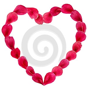 Pink flower romantic frame of petals laid out in heart shape