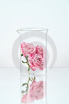 Flower In Laboratory Glass