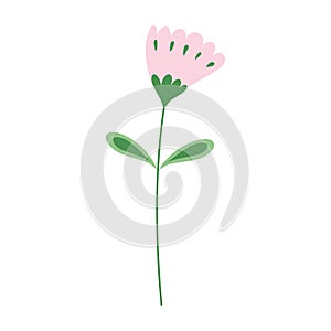 Pink flower stem leaves nature decoration isolated icon design