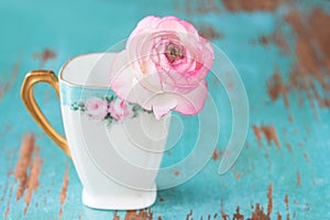 Pink Flower in teacup