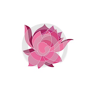 Pink flower vector illustration isolated on white background.