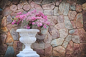 Pink flower in white flowerpot with stone wall background