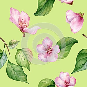 Pink flowers of almond tree and leaves seamless pattern watercolor isolated on green. Blossom fruit tree branch hand