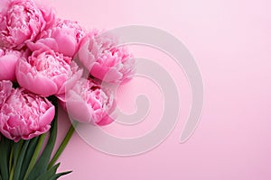 Pink flowers on background with copy space, springtime banner