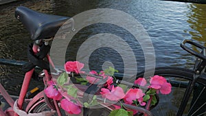 Pink flowers on bike in Amsterdam