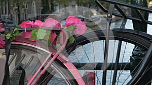 Pink flowers on bike in Amsterdam