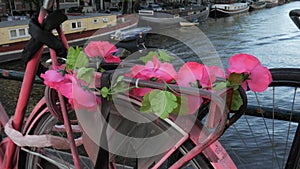 Pink flowers on bike in Amsterdam