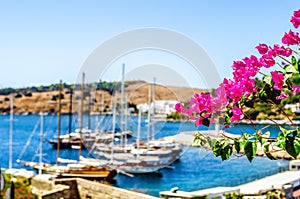 Pink flowers Buggenvilii in the background of the bay in Bodrum and many yachts.