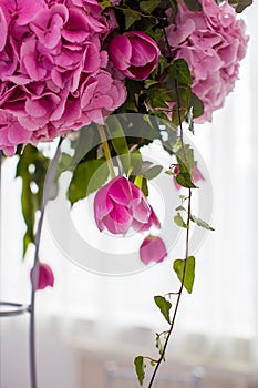 Pink flowers close-up planos, hydrangea and tulips, floristry at a wedding, festive decor photo