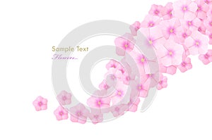 Pink flowers composition