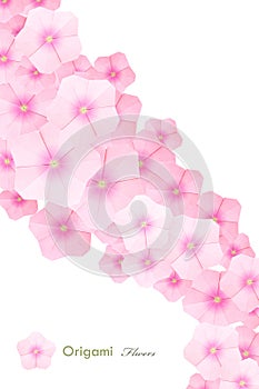 Pink flowers composition