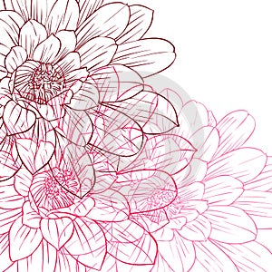 Vector floral composition photo