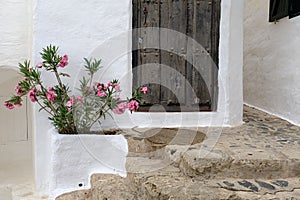 Pink flowers decorating the entrance of an old cobble stone rural entrance with a wooden door