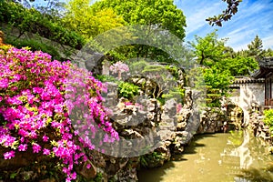 Pink flowers and details of the historic Yuyuan Garden during summer sunny day in Shanghai, China