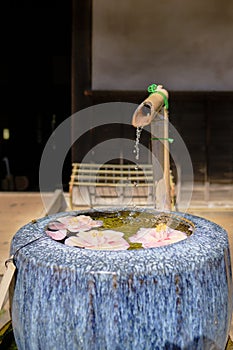 Pink flowers floating on water of a Japanese Tsukubai or Cho-zu.