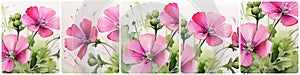 pink flowers in grass, collage header