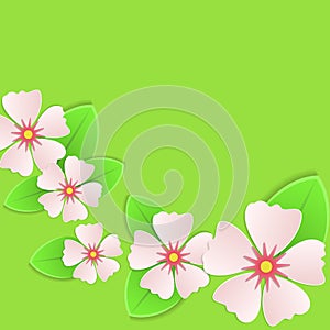 Pink flowers on green background spring card