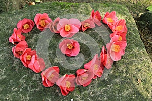 Pink flowers laid with a heart shape on stone