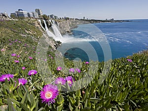 Pink flowers with Lower DÃÂ¼den Falls droping off a rocky cliff falling from about 40 m into the Mediterranean Sea in amazing water photo