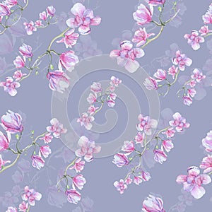 Pink flowers of magnolia. Seamless pattern. Blossoming branches, art design for background