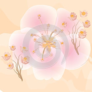 Pink flowers on orange watercolour background