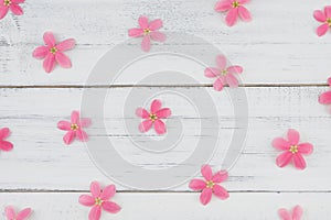 Pink flowers pattern on white wood