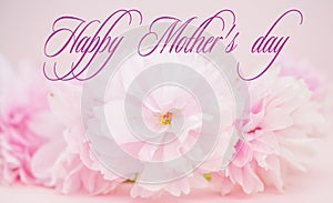 Pink flowers on pink background Happy mothers day text