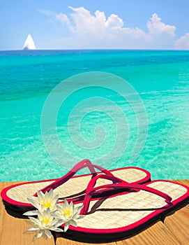 Pink and flowers Sandals on Dock