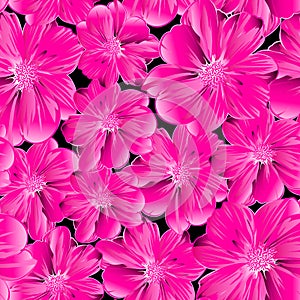 Pink flowers in a seamless pattern