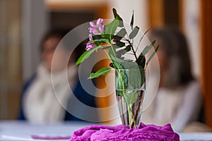 Pink flowers with their leaves displayed in a planter placed on the table photo