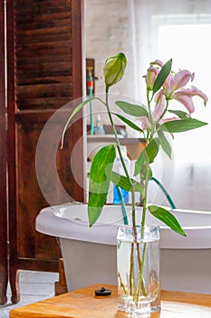 Pink flowers in a vase in a vintage styled bathroom with wooden door, defocused background