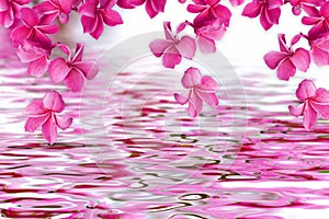 Pink flowers wallpaper design with florals for photomural background