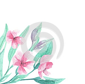 Pink flowers Watercolor Aqua Green Corner Arch Floral Border Blooms