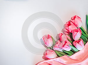 Pink flowers white background. Bouquet flowers rose tulips in the lower right corner on an isolated white background
