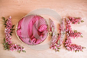 Pink flowers on a white background. Digital backdrop for newborn and baby photography.