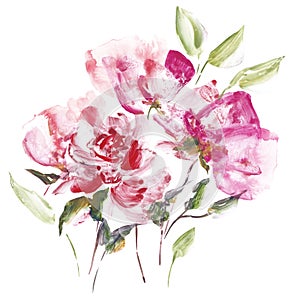 Pink flowers on white background. Watercolor poppy bouquet. Floral decor for greeting or birthday wedding card. Peony painting.
