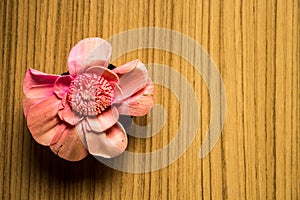 Pink flowers on a wooden brown.