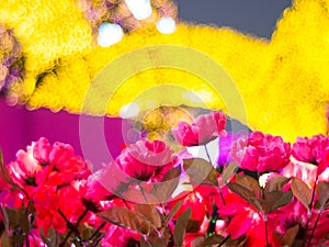 Pink Flowers with yellow bokeh background