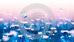 Pink forest flowers and butterfly on a background of blue leaves and stems. Artistic natural macro image.