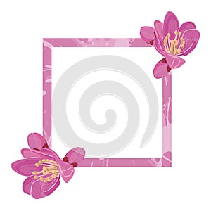 Pink frame decorated with flowers