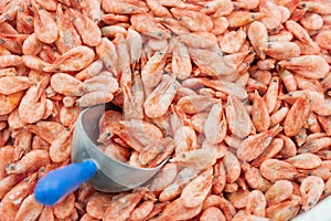 Pink fresh frozen shrimps with ice and filling scoop in a supermarket or fish shop. Uncooked seafood close up background. Fresh