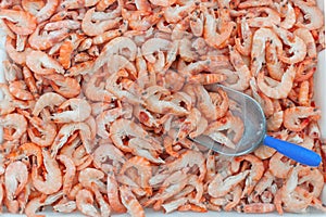 Pink fresh frozen shrimps with ice and filling scoop in a supermarket or fish shop. Uncooked seafood close up background. Fresh