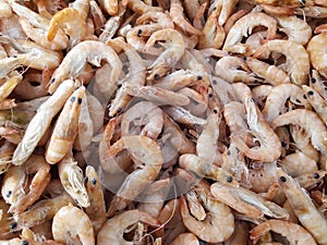 Pink fresh frozen shrimps with ice in a supermarket or fish shop. Uncooked seafood close up background