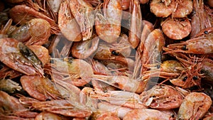 Pink fresh frozen shrimps with ice in a supermarket or fish shop. Uncooked seafood close up background. Fresh frozen
